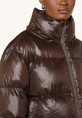 darling harbour Pufferjacke in Braun: Vorderseite
