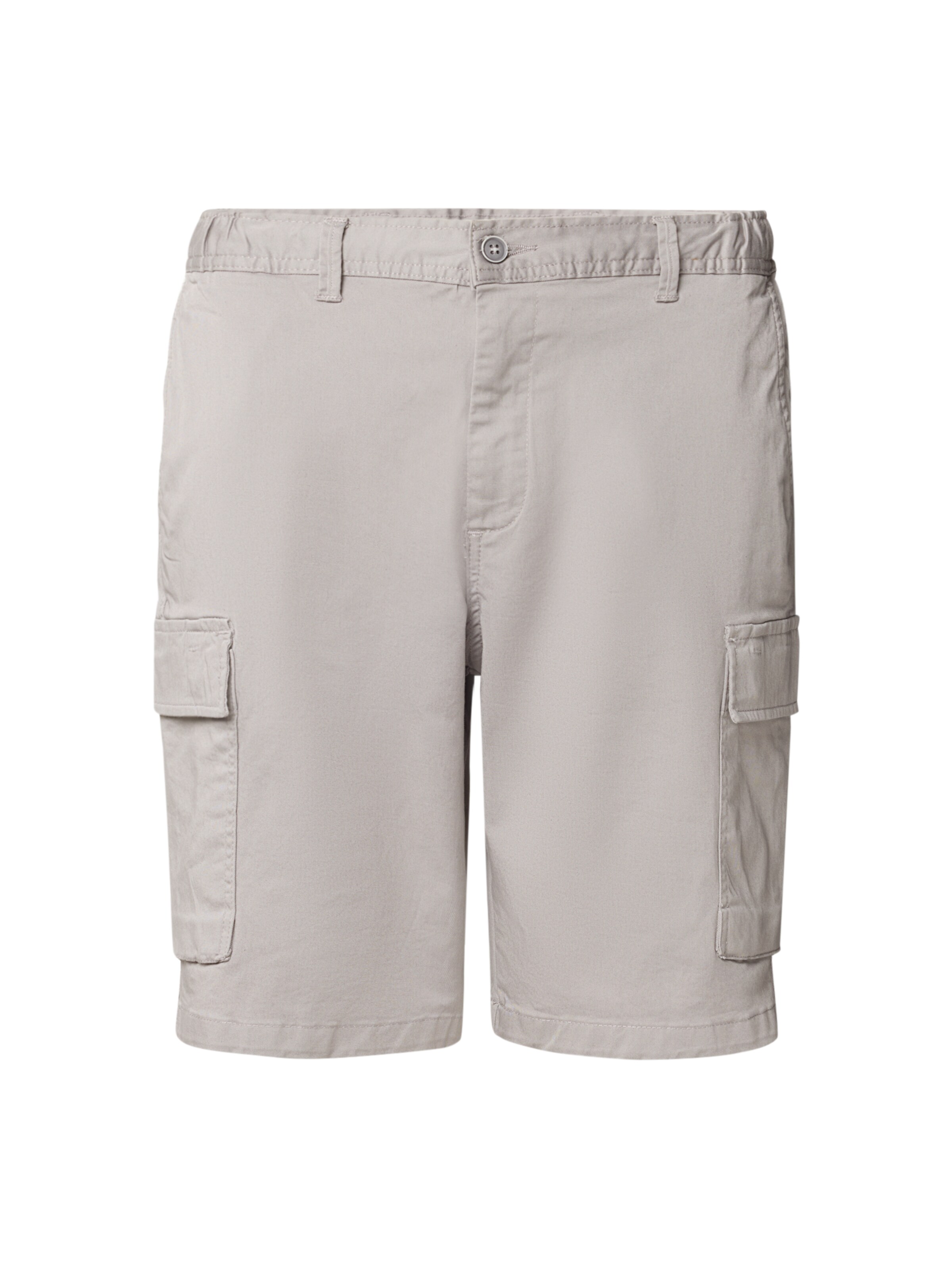 WOTEGA Regular Cargo Pants 'Atlas' in Grey: front