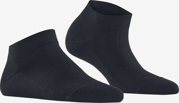 Chaussettes FALKE en bleu