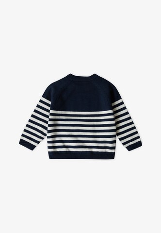 Stellou & Friends Trui in Blauw
