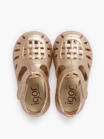 Claquettes / Tongs IGOR en beige