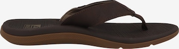 REEF T-Bar Sandals 'Santa Ana' in Brown