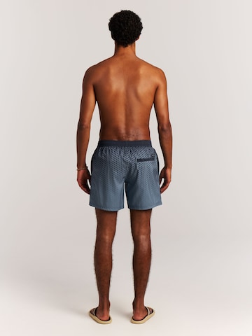 PROTEST Board Shorts 'PRTNorthaw' in Blue