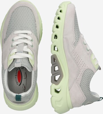 GABOR Sneaker in Grau