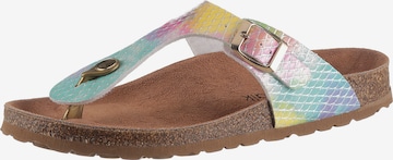 CITY WALK T-Bar Sandals in Mixed colors: front