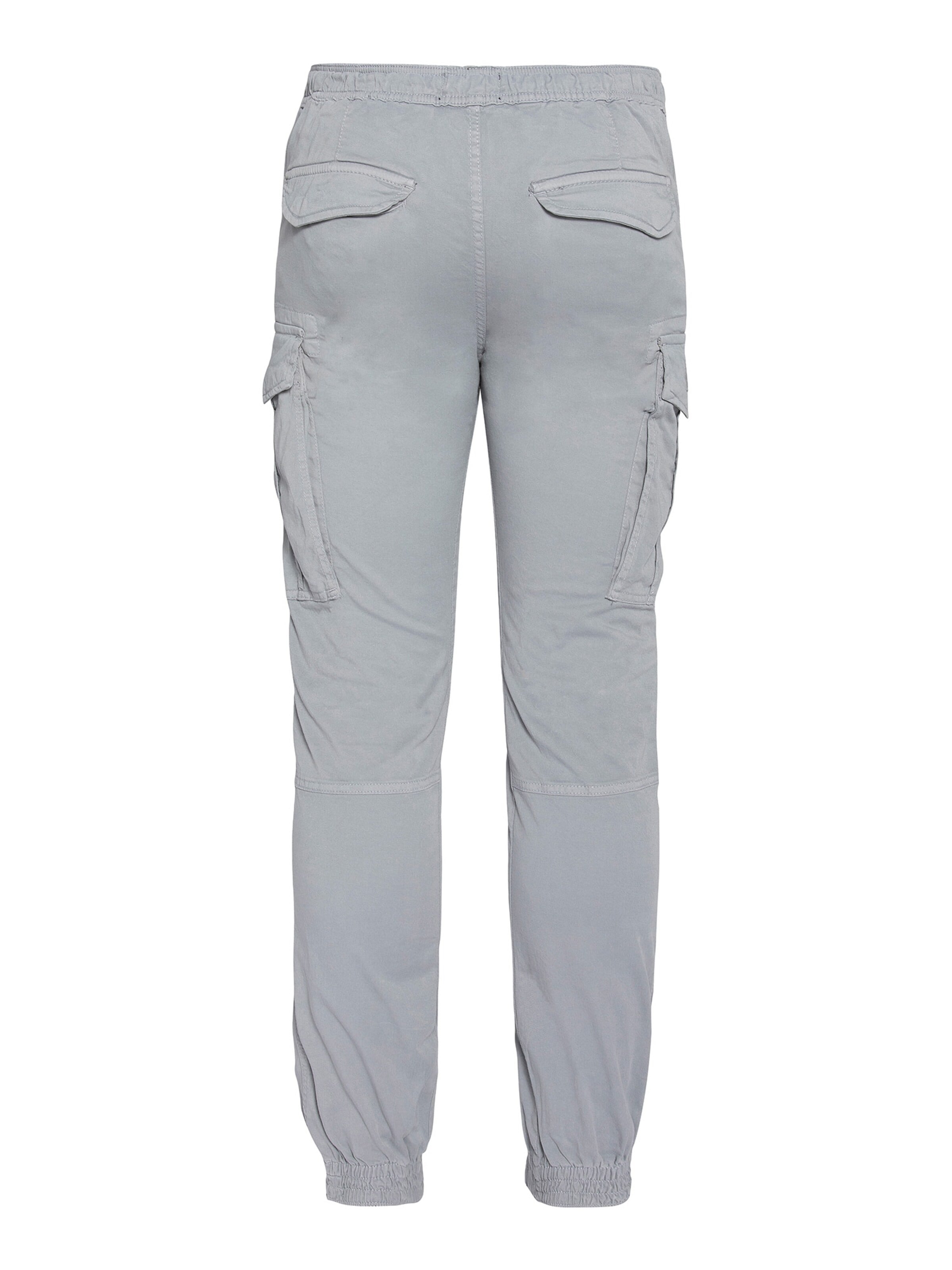 Schott NYC Regular Cargohose‌‌ in Grau