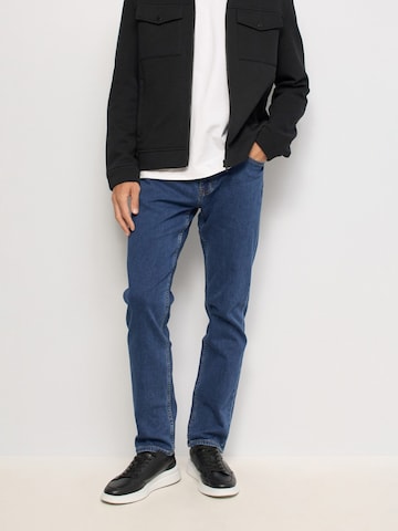 Salsa Jeans Loosefit Jeans in Blau: Vorderseite