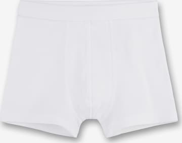 SANETTA Underpants in White