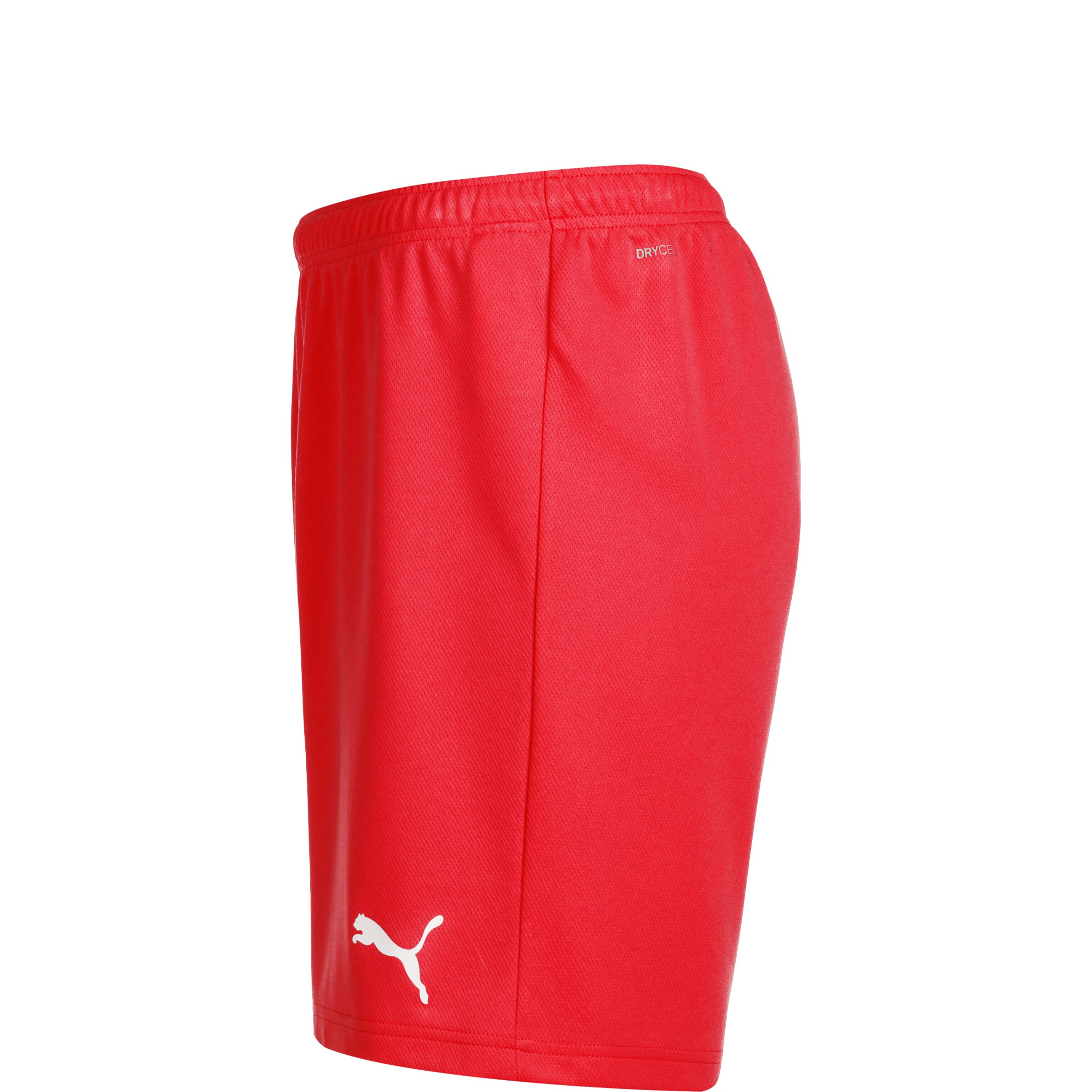 Regular Pantalon de sport 'TeamRise' PUMA en rouge