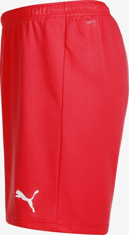 PUMA Regular Sportbroek 'TeamRise' in Rood