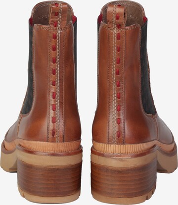 Chelsea Boots ' NELDA ' Crickit en marron