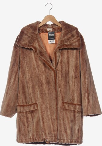 APART Jacket & Coat in XXL in Brown: front