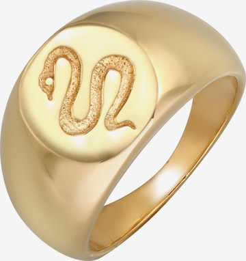 ELLI PREMIUM Ring Schlange, Siegelring in Gold: predná strana