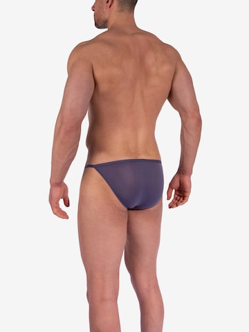 Olaf Benz Panty ' RED0965 Riotanga ' in Purple