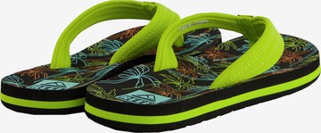 REEF Beach & Pool Shoes ' Kids Ahi ' in Green