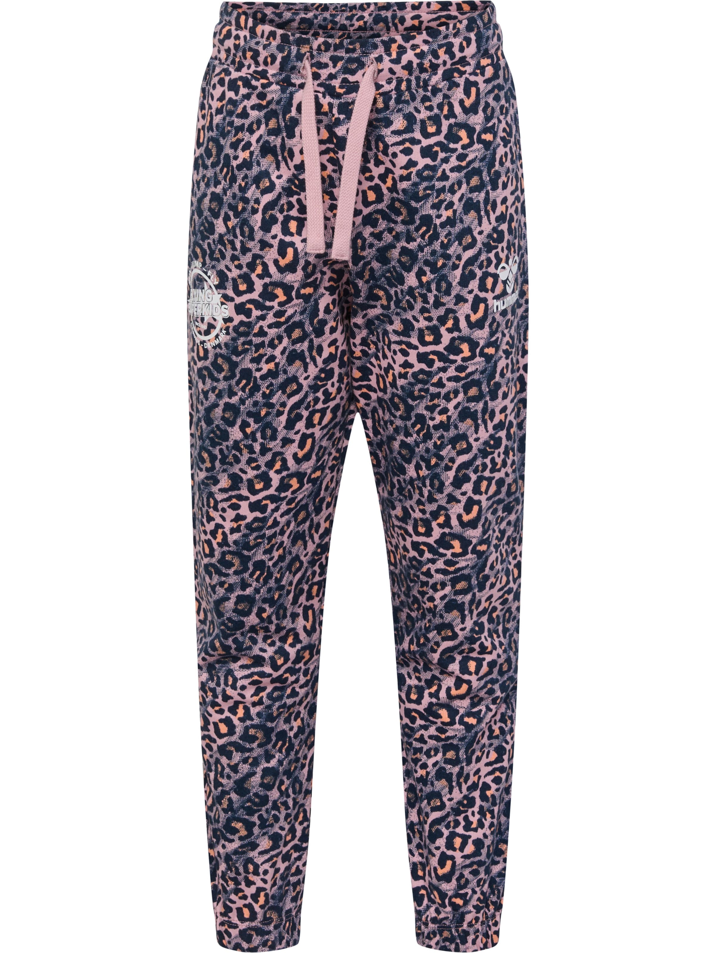 Hummel Tapered Sportbroek 'FSK SMILE' in Gemengde kleuren: voorkant