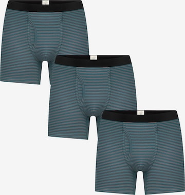 Albero Natur Boxer shorts in Green: front