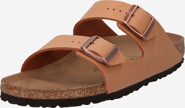 BIRKENSTOCK Pistokkaat 'Arizona' värissä ruskea: etupuoli