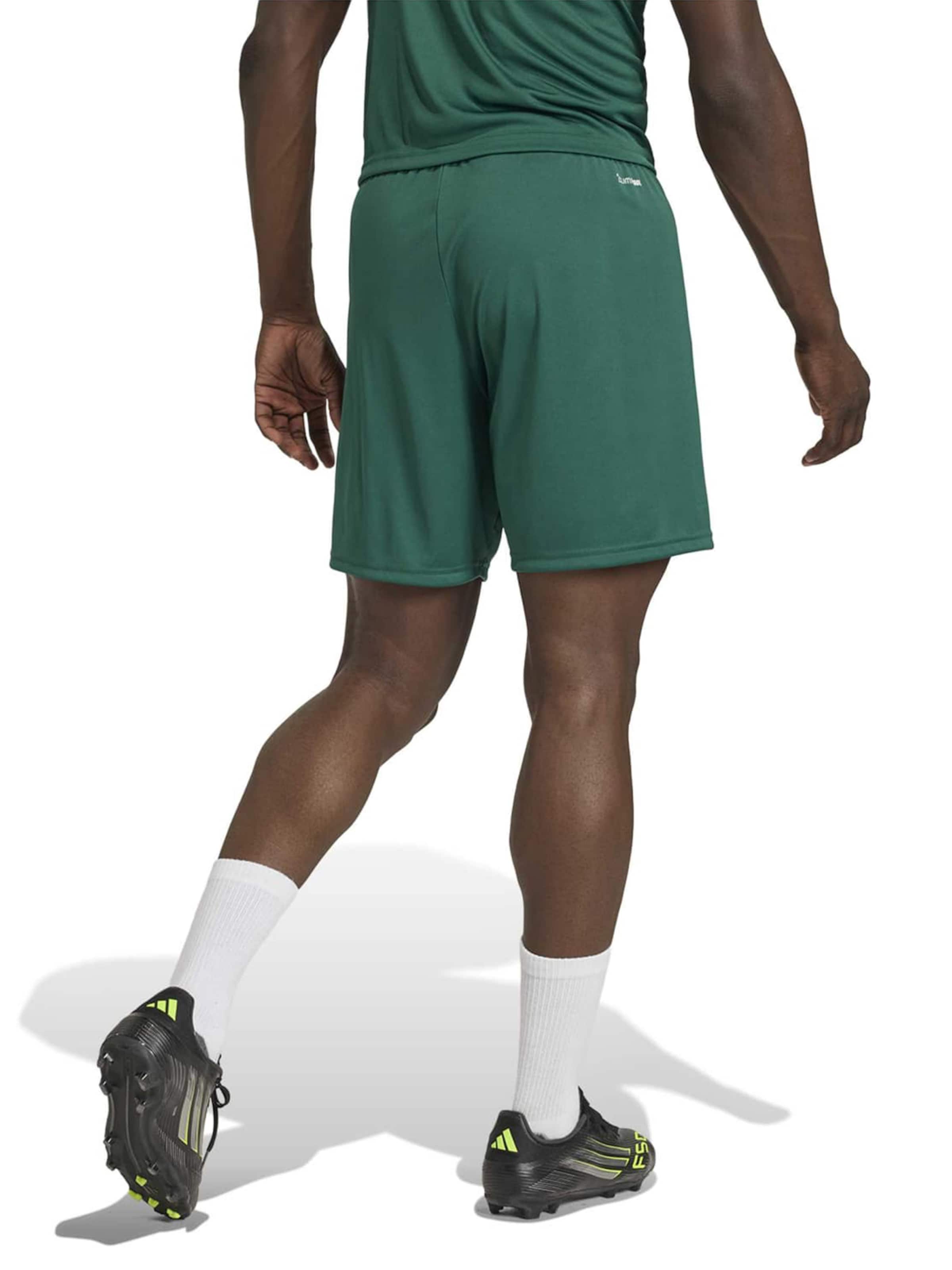 ADIDAS PERFORMANCE - regular Pantalón deportivo 'ENT26' en verde