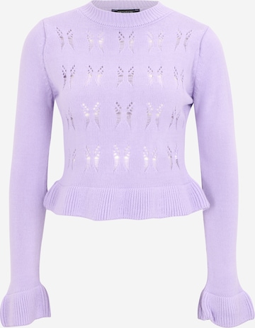 Trendyol Petite Sweater in Purple: front