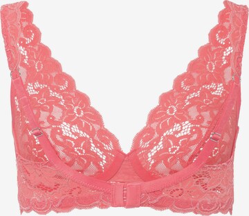 Hanro Triangle Bra ' Moments ' in Pink