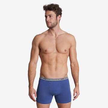Baldessarini Boxer shorts in Blue: front