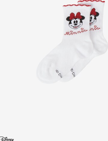 CALZEDONIA Socks in White: front