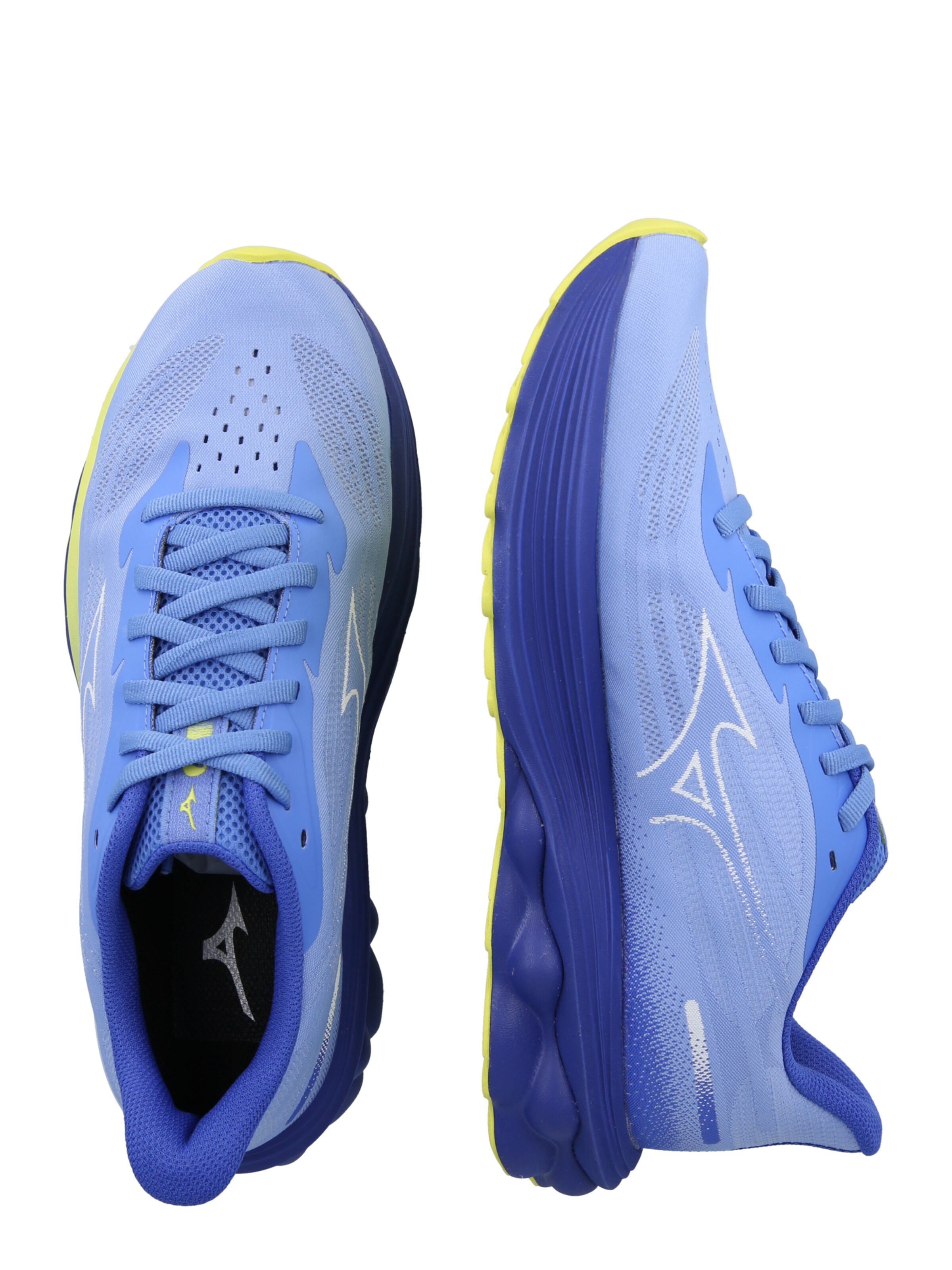 MIZUNO Обувь для бега 'WAVE SKYRISE 7' в Синий