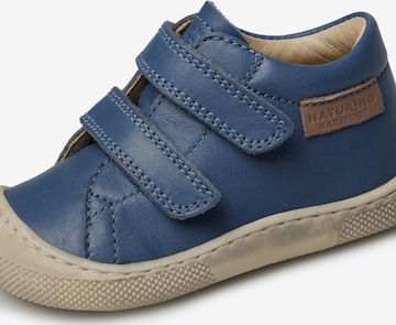NATURINO Sneaker 'BAREFOOT AMUR VL' in Blau: Vorderseite