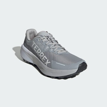 Scarpa da corsa 'Agravic 3' di ADIDAS TERREX in grigio