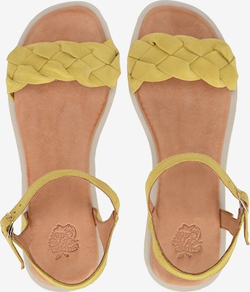 Apple of Eden Strap Sandals ' ALMA ' in Yellow
