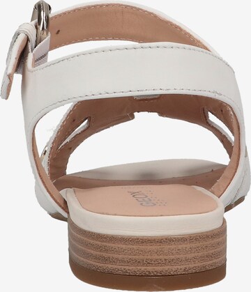 GEOX Sandals in White