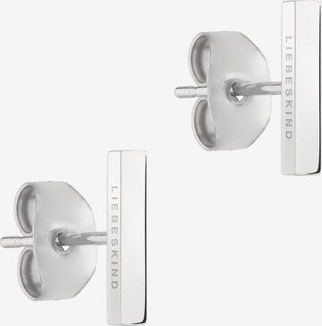 Liebeskind Berlin Earrings in Silver: front