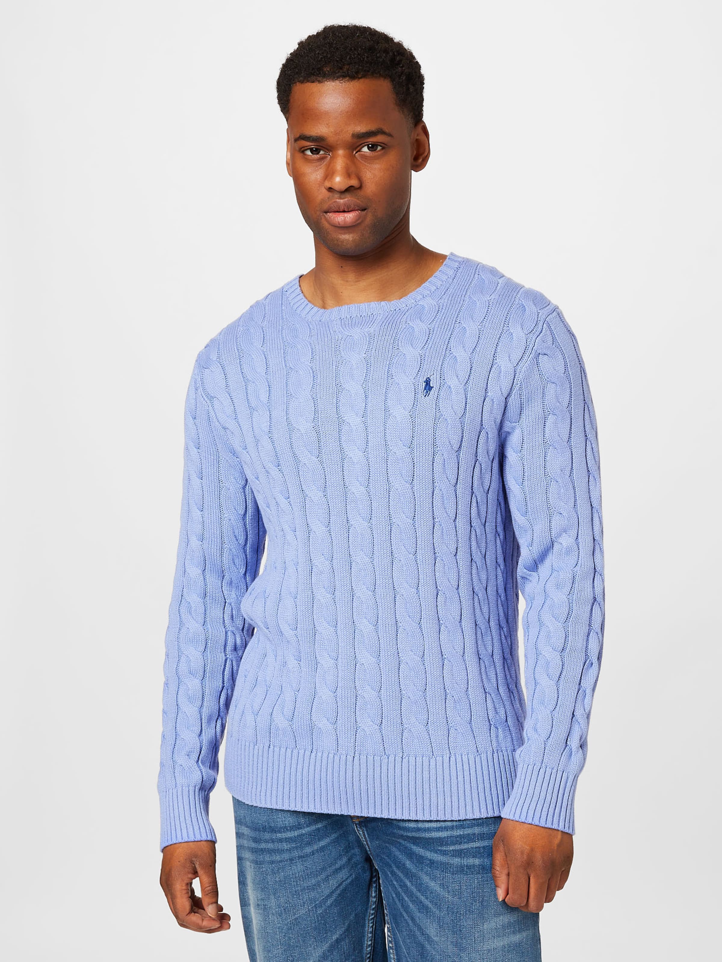 Polo Ralph Lauren Regular fit Sweater DRIVER in Dusty Blue Sky