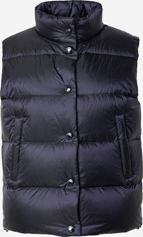 BOGNER Liivi 'ORELY' värissä sininen: etupuoli