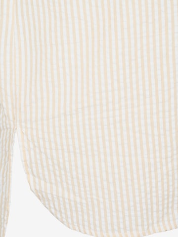 Camicia da donna 'CALENE' di Zizzi in beige