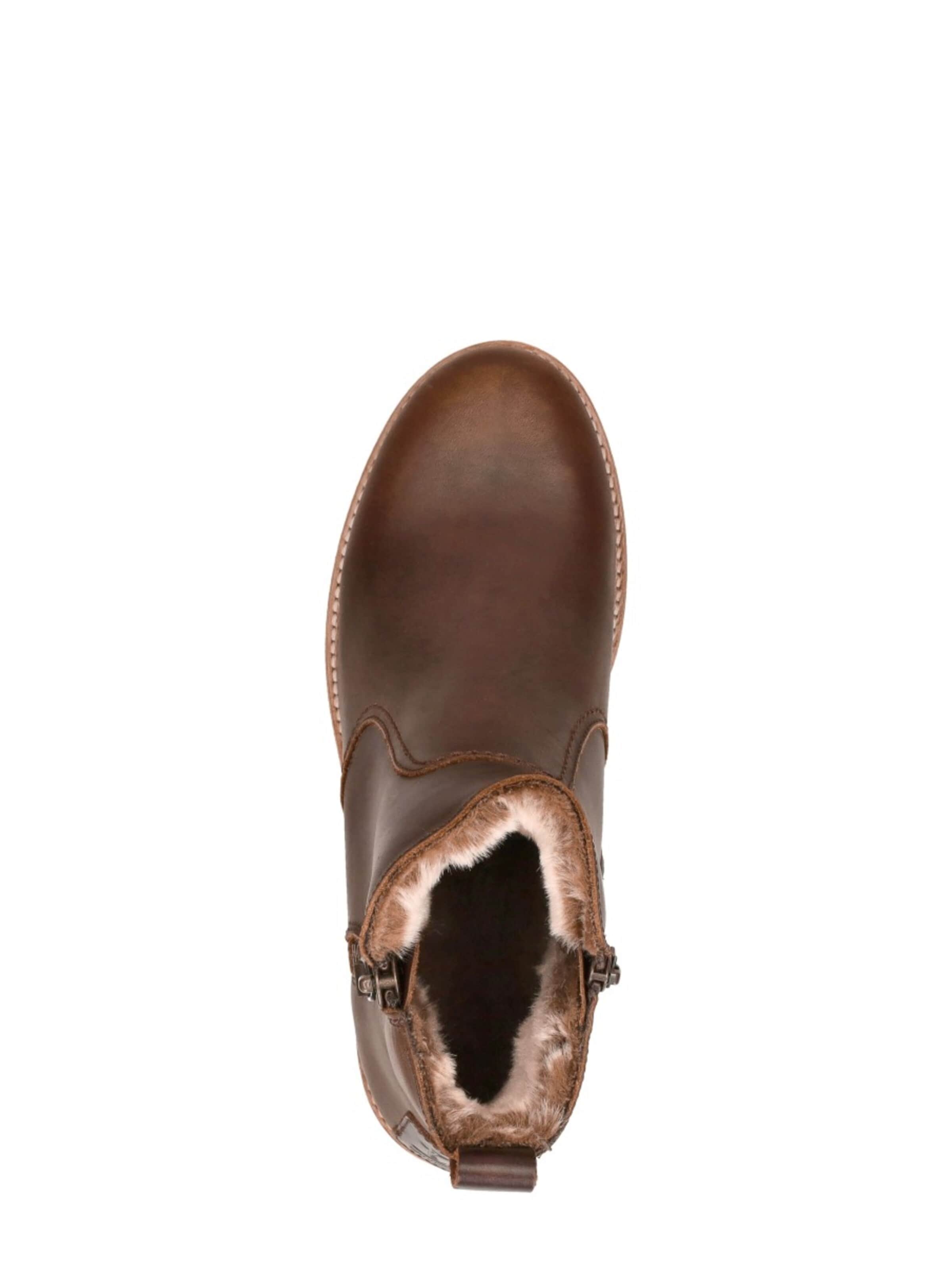 PANAMA JACK Ankle Boots in Brown