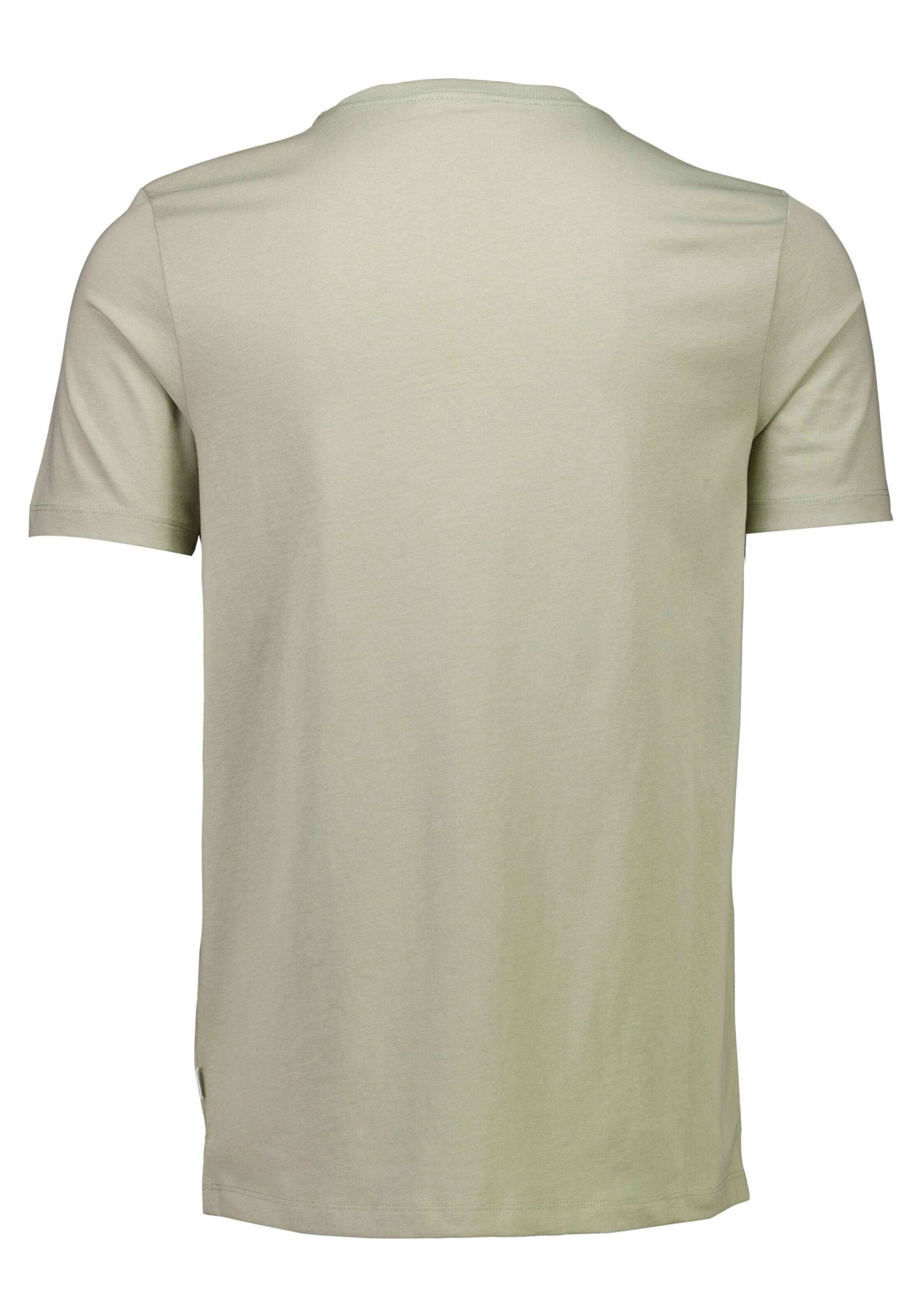 Lindbergh Shirt in Green