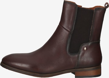 PIKOLINOS Chelsea Boots in Brown