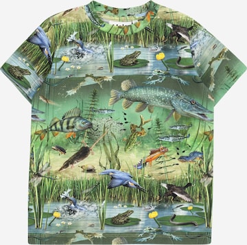 Molo Shirt 'Ralphie' in Groen: voorkant