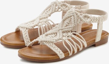 LASCANA T-Bar Sandals in Beige