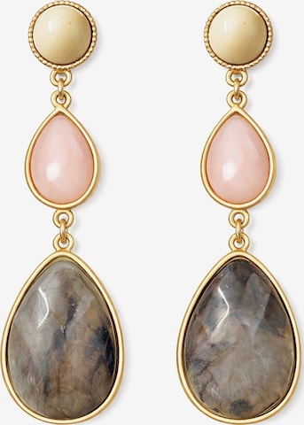 COLLEZIONE ALESSANDRO Earrings 'Svea' in Brown: front