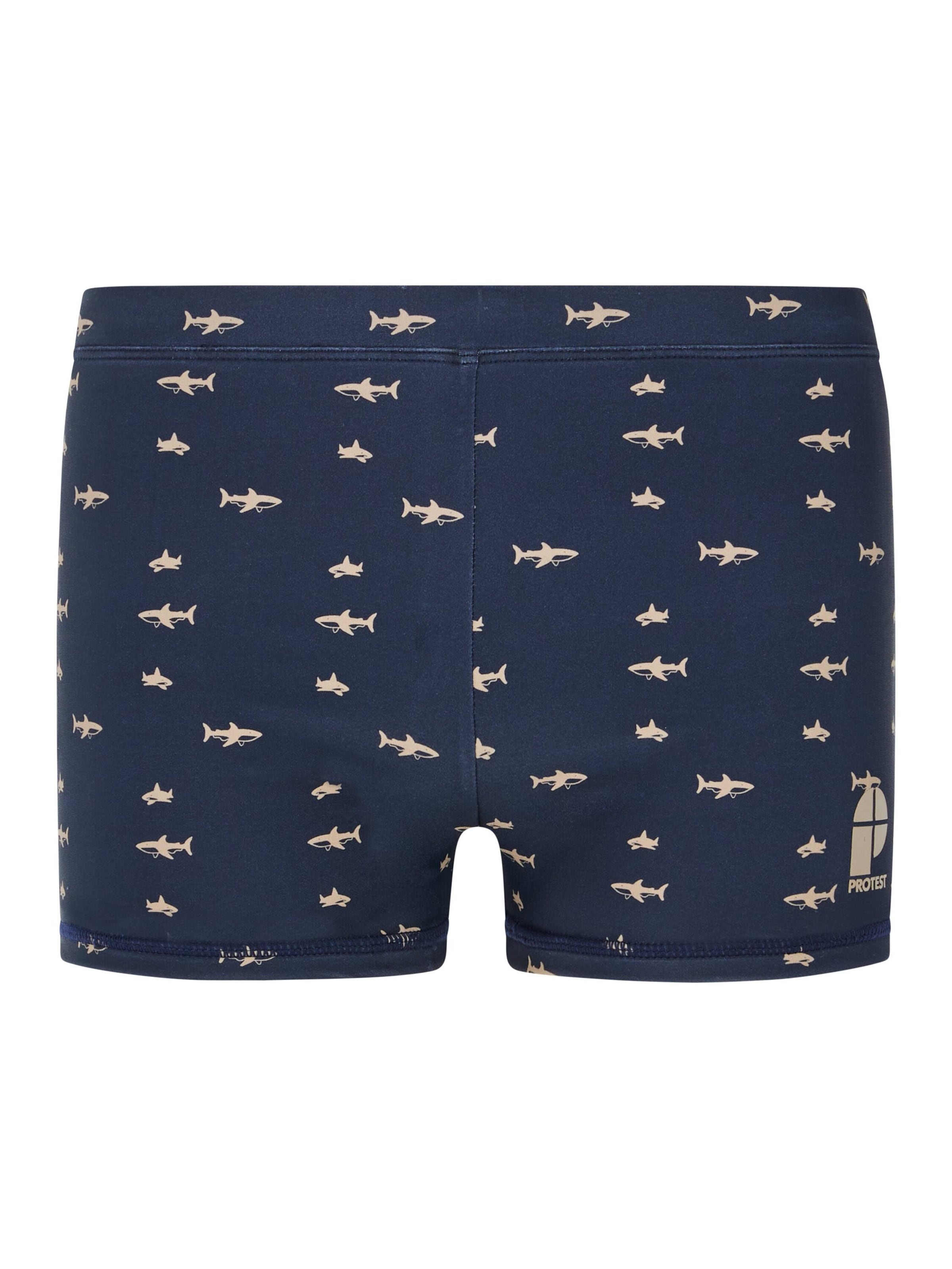 PROTEST Board Shorts 'PRTIvaro JR' in Blue: front