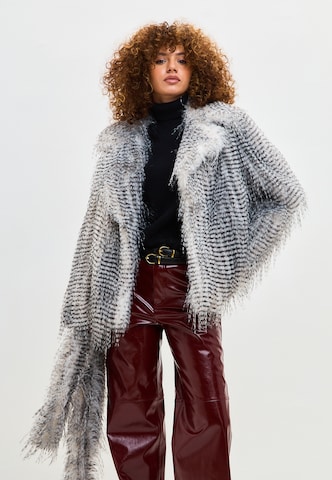 CESARE GASPARI Winter coat in Grey: front