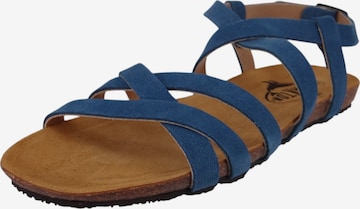 Sandales 'Mam Vali' Plakton en bleu : devant