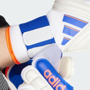 ADIDAS PERFORMANCE Athletic Gloves 'Copa Pro' in White