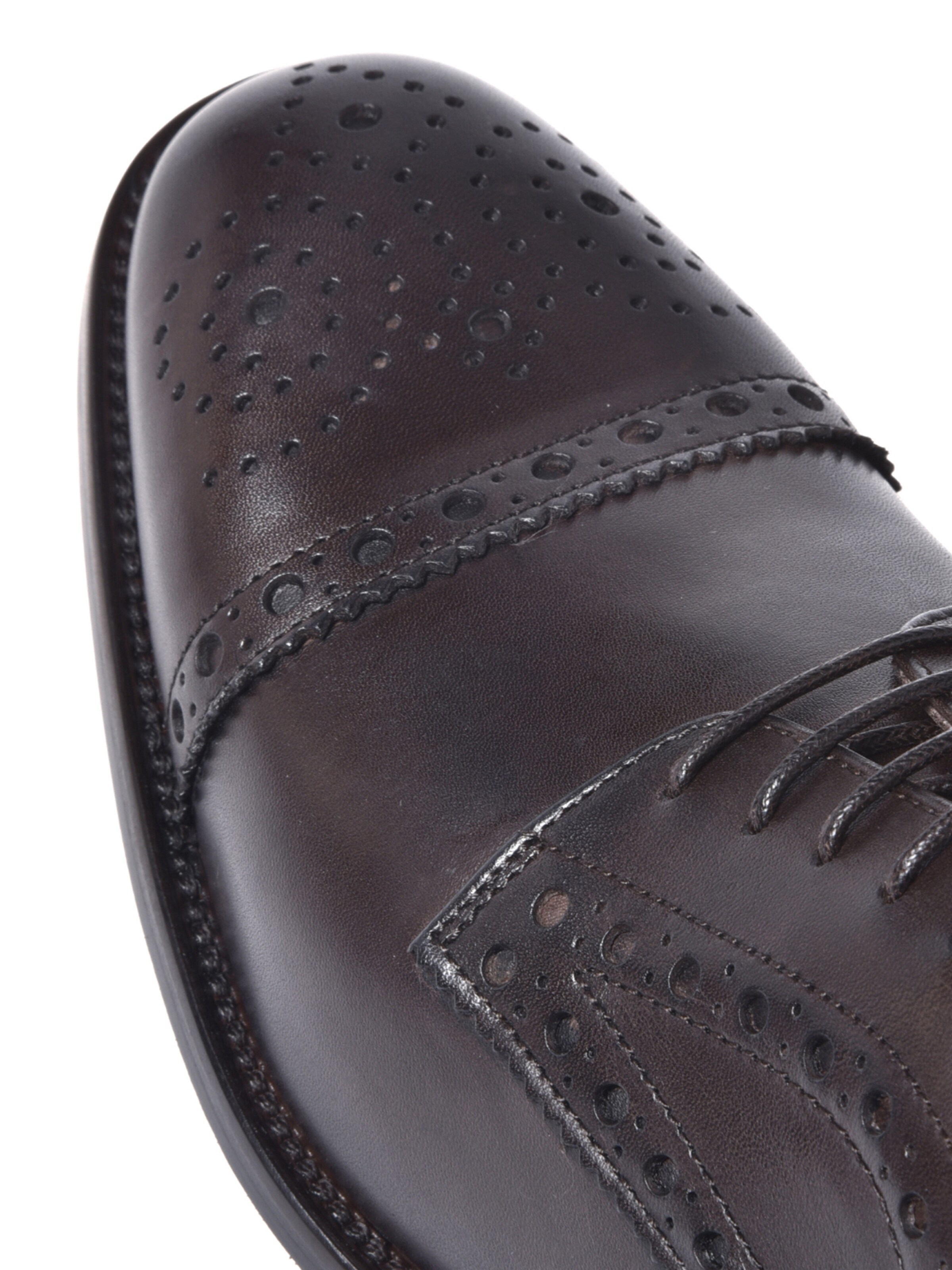 BALDININI Veterschoen in Bruin