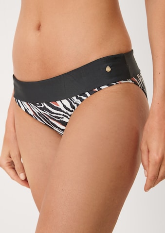 s.Oliver Bikini Bottoms in Black: front