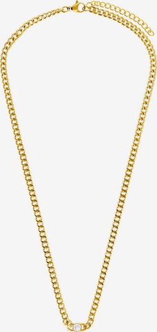 Lucardi Necklace in Gold: front