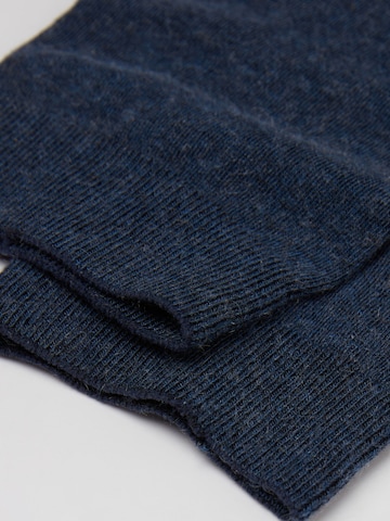 CALZEDONIA Socks in Blue